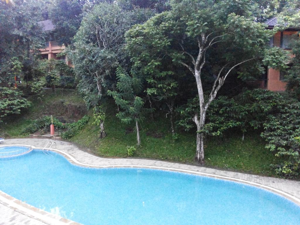 Abad Green Forest Thekkady Hotel Kumily Luaran gambar